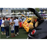 MIRA2018-MUTOU (2).jpg